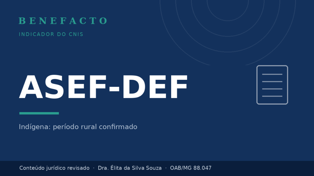 ASEF-DEF no CNIS: o que significa