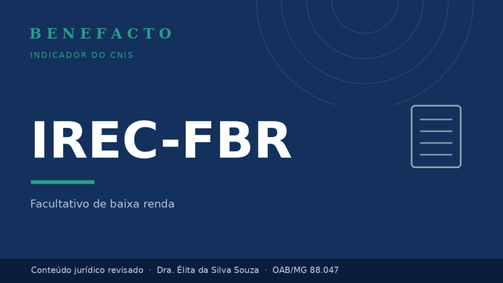 IREC-FBR no CNIS: o que significa e o que fazer