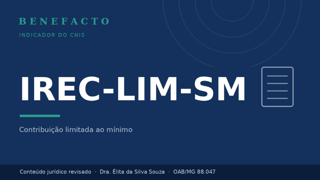 IREC-LIM-SM no CNIS: o que significa e o que fazer