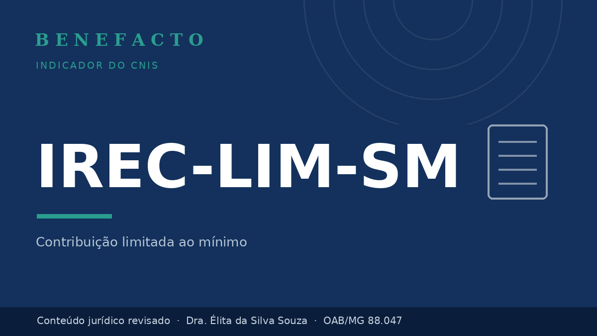 IREC-LIM-SM no CNIS: o que significa e o que fazer