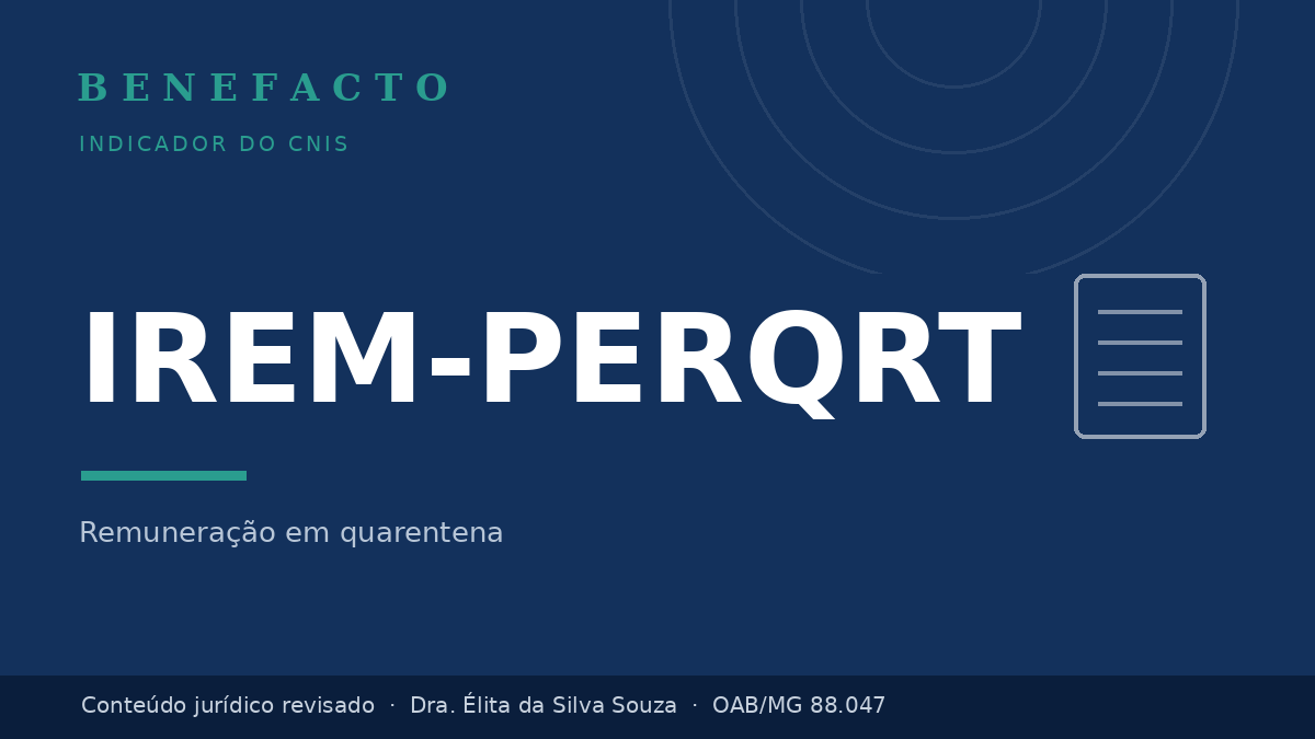 IREM-PERQRT no CNIS: o que significa e o que fazer